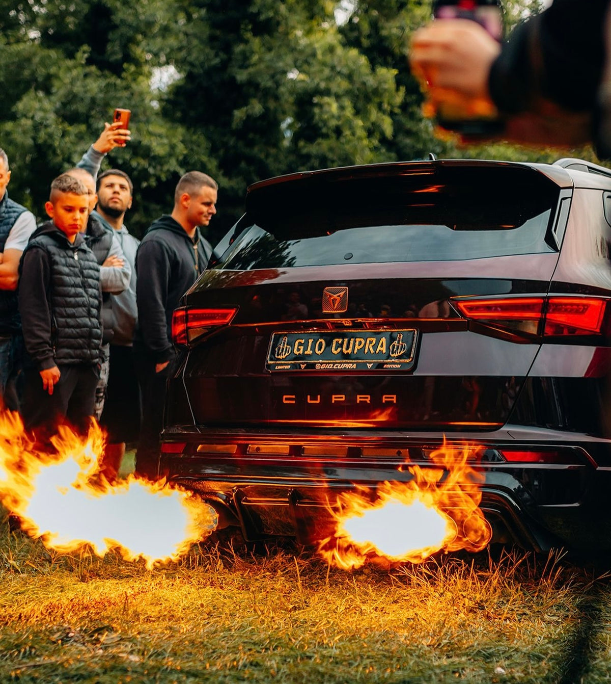 Create Your Personalized License Plate