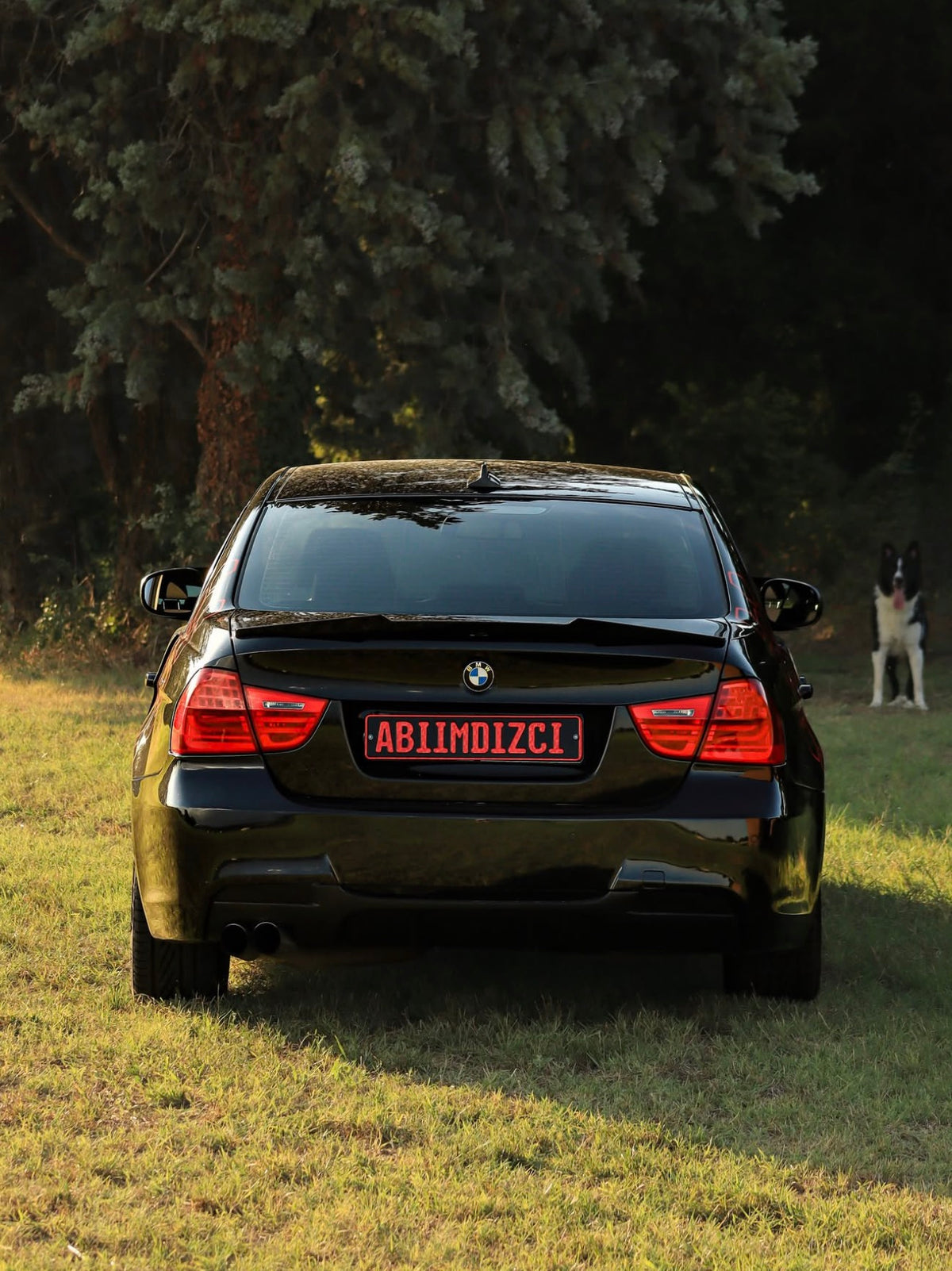 Create Your Personalized License Plate